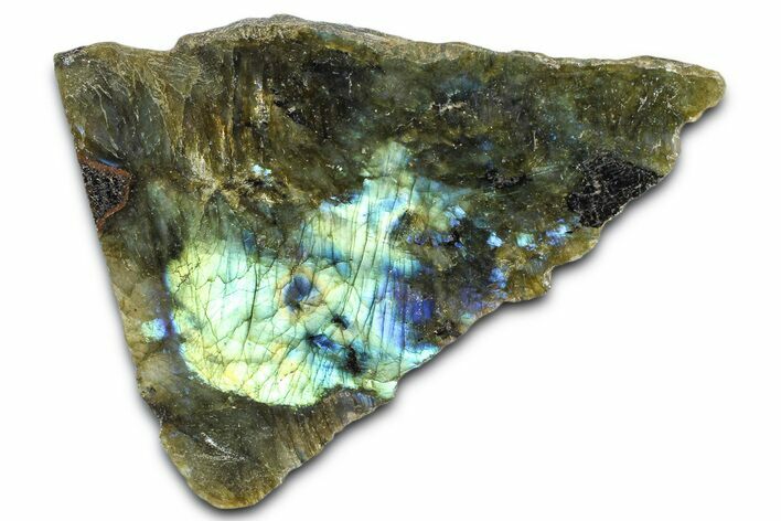 Single Side Polished Labradorite Section - Madagascar #364290